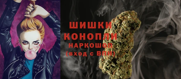 PSILOCYBIN Армянск