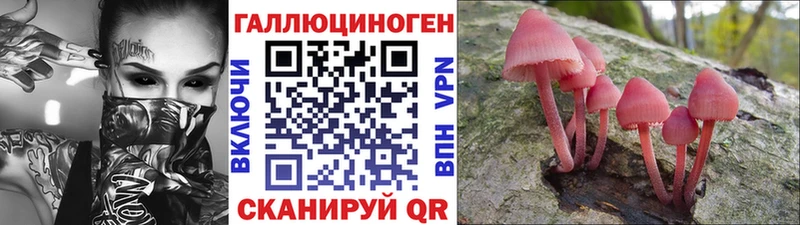 купить закладку Прохладный Псилоцибиновые грибы Cubensis