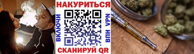 дарк нет Telegram  сколько стоит  Прохладный  Каннабис индика 
